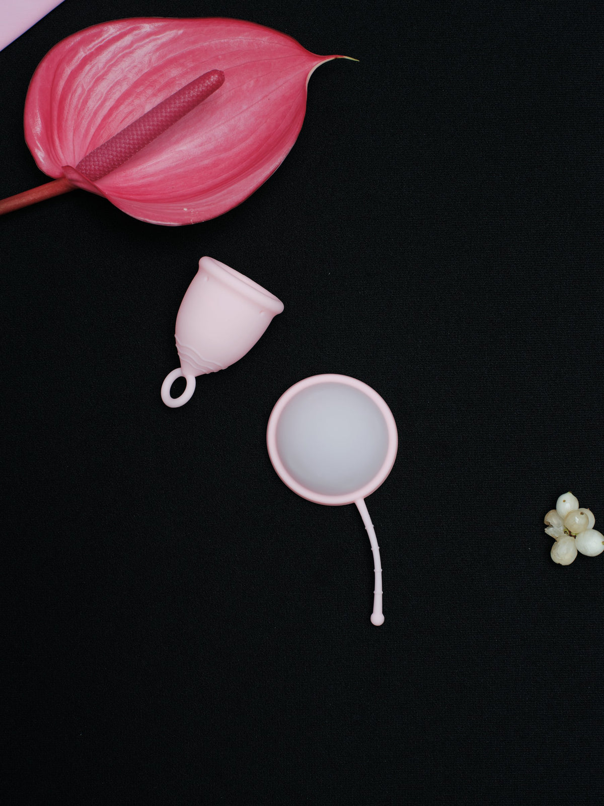 B.Peachy cup and Light Pink disc photographed together