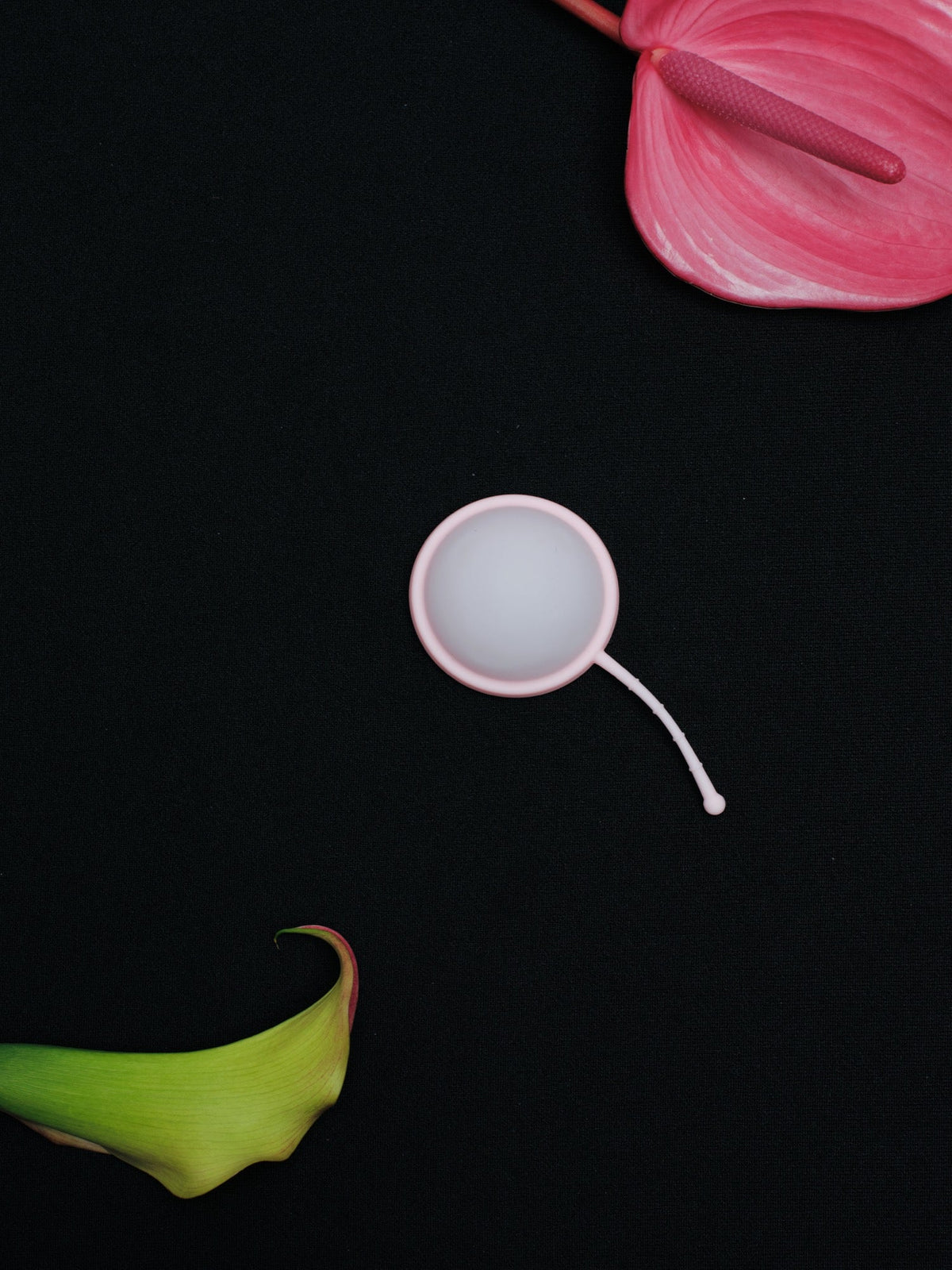 Light Pink Peachy Disc with a retrieval stem on dark fabric